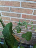 PXL_20240526_162425932.jpg