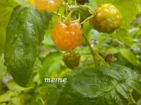 20240529_102219.webp