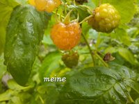 20240529_102219.jpg