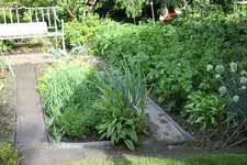 Mai    0324.webp