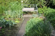 Mai    0424.webp