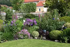 Mai     8024.webp