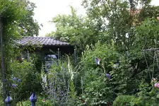 Mai     8324.webp