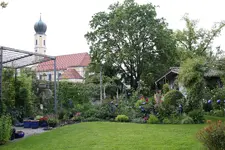 Mai     8424.webp