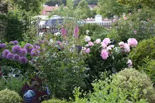 Mai     8724.webp