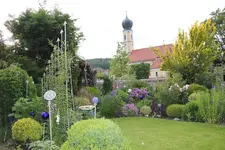 Mai     9124.webp