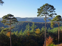 P1030601 Blick in die Berge.jpg