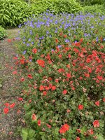 IMG_5475.jpeg