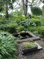 IMG_5478.jpeg