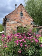 IMG_5486.jpeg