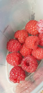 20240530_105431.jpg