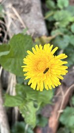 IMG_0117.jpeg