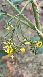 IMG_0132.jpeg