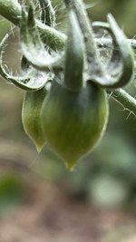 IMG_0138.jpeg