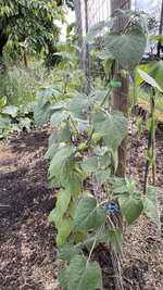 IMG_0118.jpeg