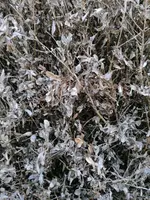 IMG_20240530_204323.webp