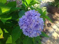 IMG_20230823_121126.jpg