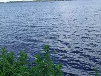 IMG_20240513_173653_1.webp