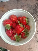 IMG_20240530_140216.webp