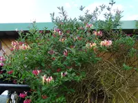 DSC03458.JPG