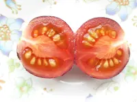 001.webp