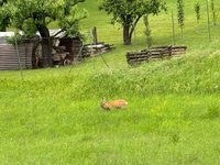 IMG_5279.jpeg