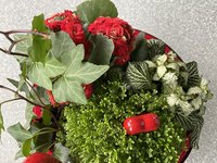 IMG_1511.jpeg