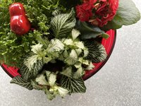 IMG_1514.jpeg