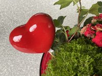 IMG_1516.jpeg