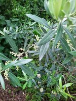 IMG_20240602_100857.jpg