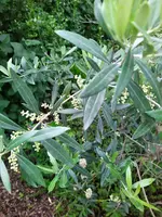 IMG_20240602_100857.webp