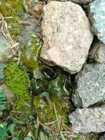 IMG_20240602_102717.webp