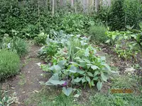 Naschabteilung.webp