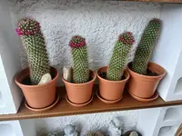 20240602_182314.webp
