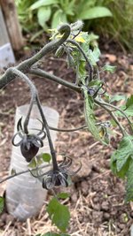 IMG_0197.jpeg