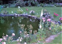 Rosen Teich (2).JPG