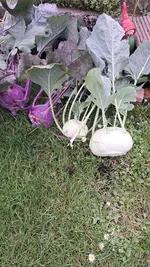 IMG-20240602-WA0004.webp