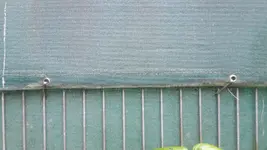 Zaun.webp Zaun.webp
