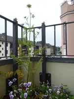 002.webp