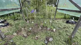 IMG_0181.jpeg