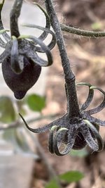 IMG_0198.jpeg