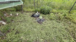 IMG_0179.jpeg