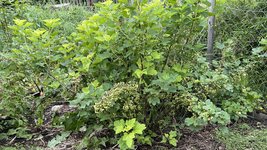 IMG_0183.jpeg
