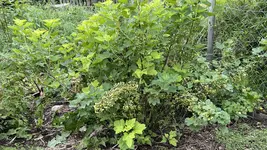 IMG_0183.jpeg