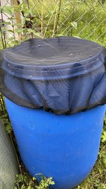 IMG_0205.jpeg