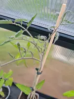 20240602_185415.webp