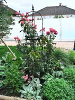 IMG_20240602_104037.webp