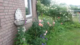 Vorgarten.webp