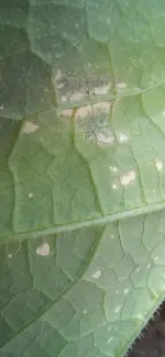 1000008232.jpg