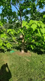 20240604_175022.webp